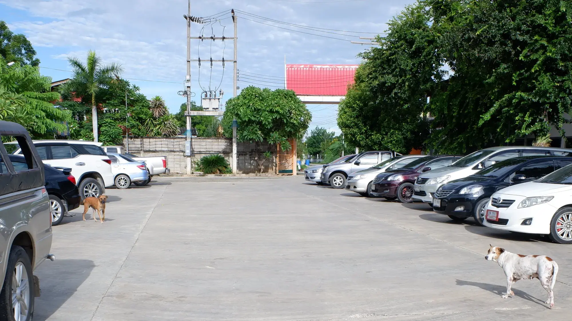 วัดอริยวงศาราม 8